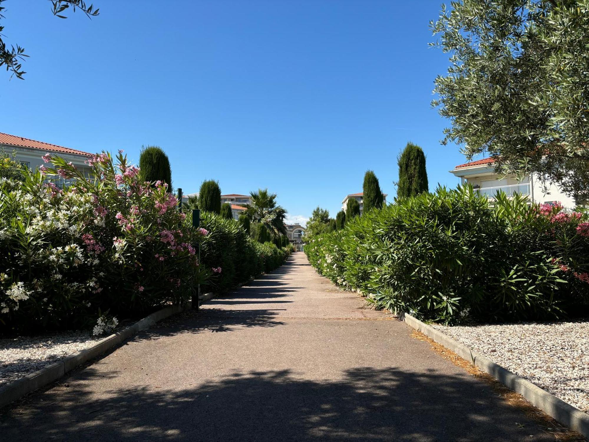 אנטיב Beachside Apartment With Pool & Garden In Juan Les Pins מראה חיצוני תמונה